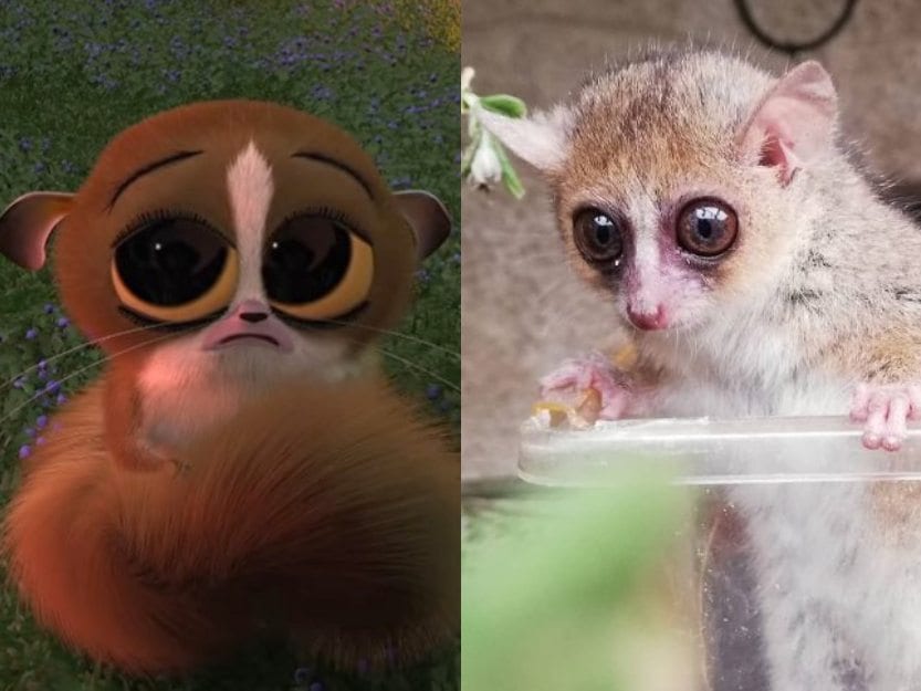 Weird And Unbelievable Animals That Your Favorite Characters Is Based On - Page 11 of 11 - Bozy - Crypto, Celebs, Finance and more Weird And Unbelievable Animals That Your Favorite Characters Is Based On - Page 11 of 11 - Bozy - Crypto, Celebs, Finance and more