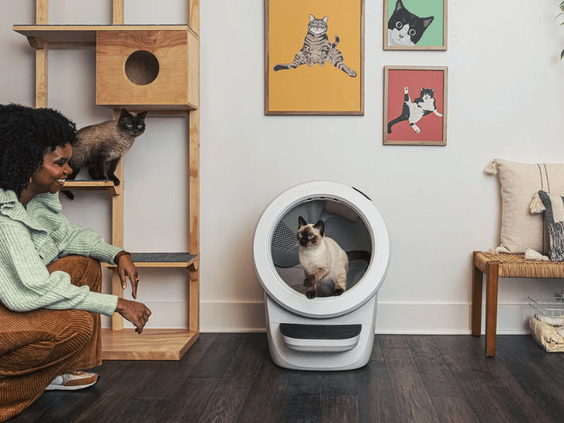 Litter-Robot 4